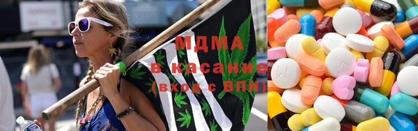 стаф Алексин