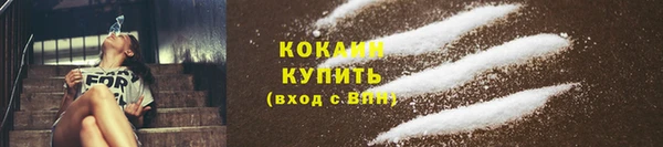 прущие грибы Абаза