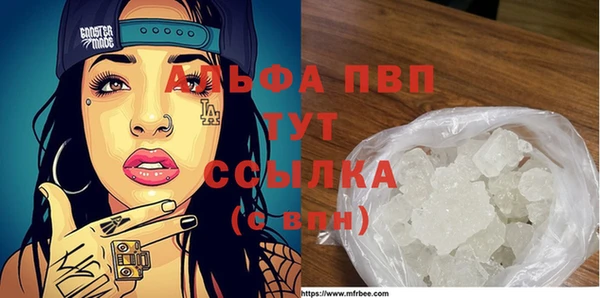 стаф Алексин