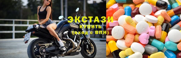 прущие грибы Абаза